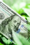 Tax Cuts on California Cannabis