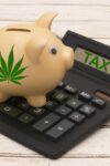 Why Small Businesses Need a Cannabis Attorney