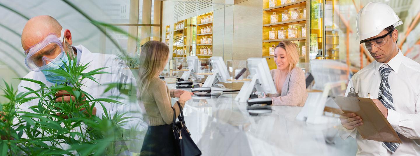 Understanding DCC Compliance Actions, Appeals, and Embargoes: A Complete Guide for California Cannabis Licensees