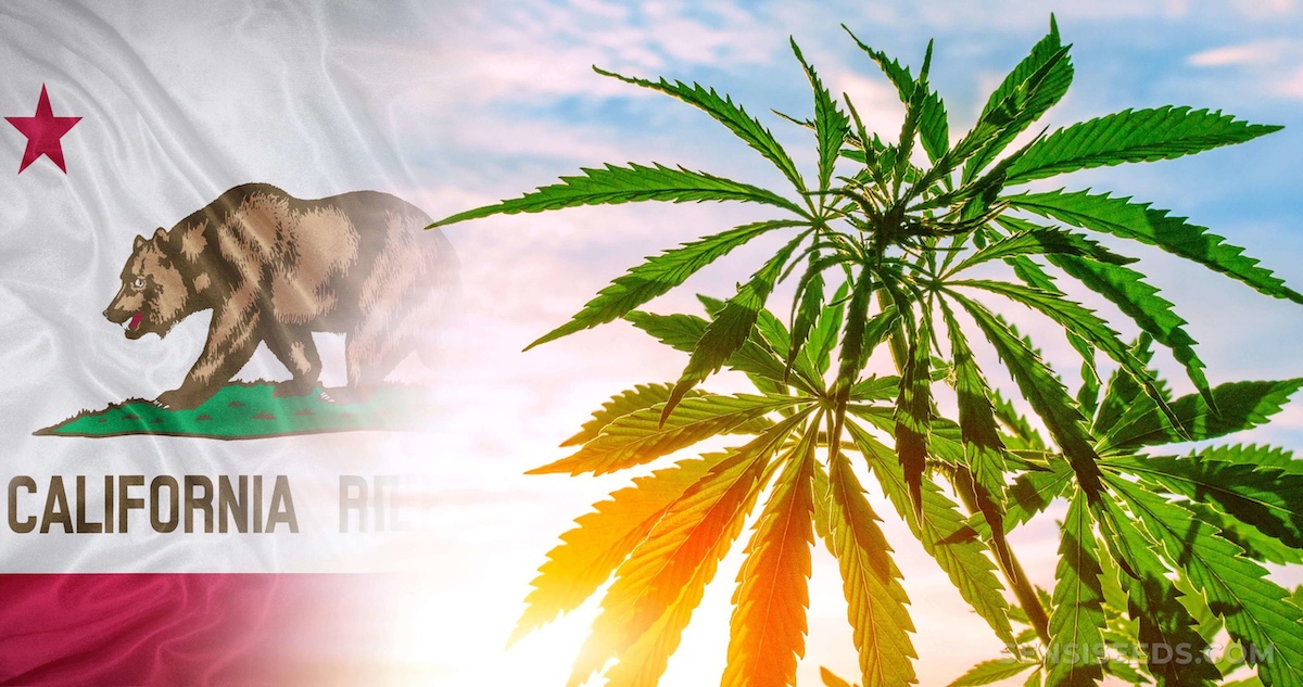 Key Track-and-Trace (Metrc) Compliance Deadlines Every California Cannabis Licensee Must Know